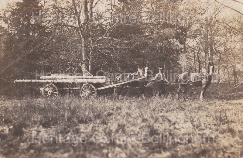Image from the Heritage Centre Bellingham Collection