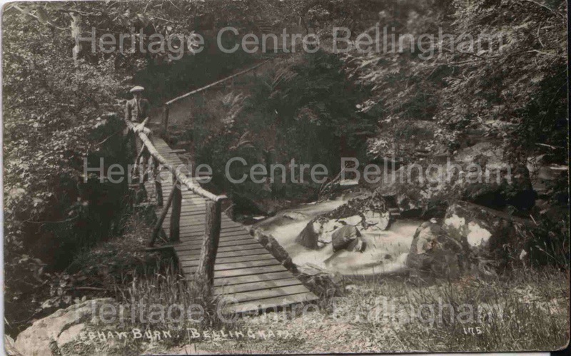 Image from the Heritage Centre Bellingham Collection Image from the Heritage Centre Bellingham Collection