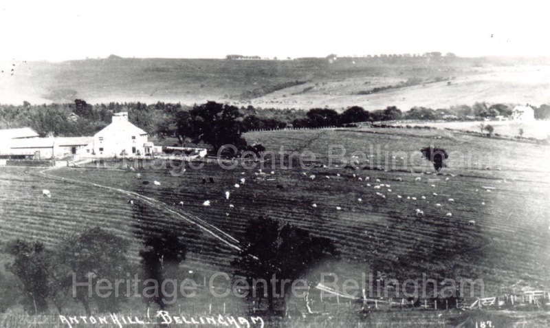 Image from the Heritage Centre Bellingham Collection