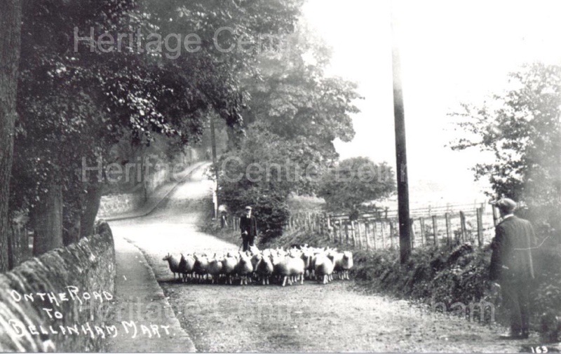 Image from the Heritage Centre Bellingham Collection