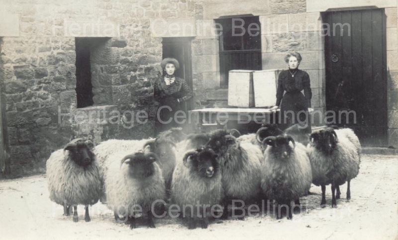Image from the Heritage Centre Bellingham Collection