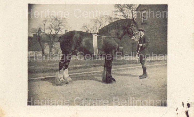 Image from the Heritage Centre Bellingham Collection