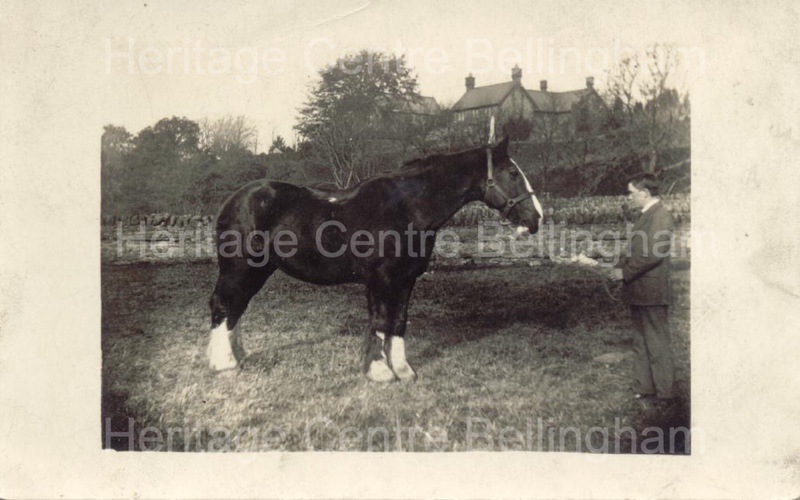 Image from the Heritage Centre Bellingham Collection