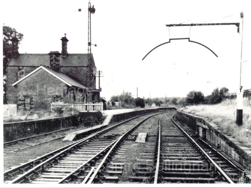Image from the Heritage Centre Bellingham Collection