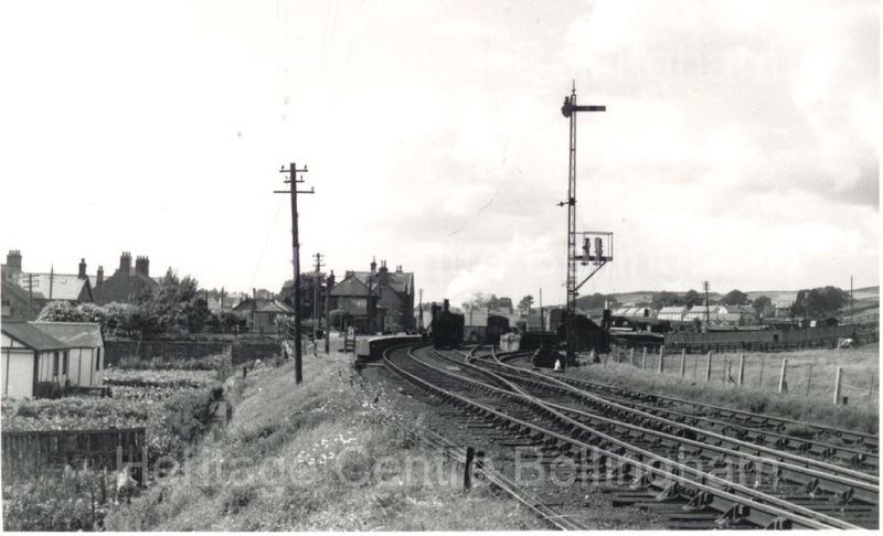 Image from the Heritage Centre Bellingham Collection
