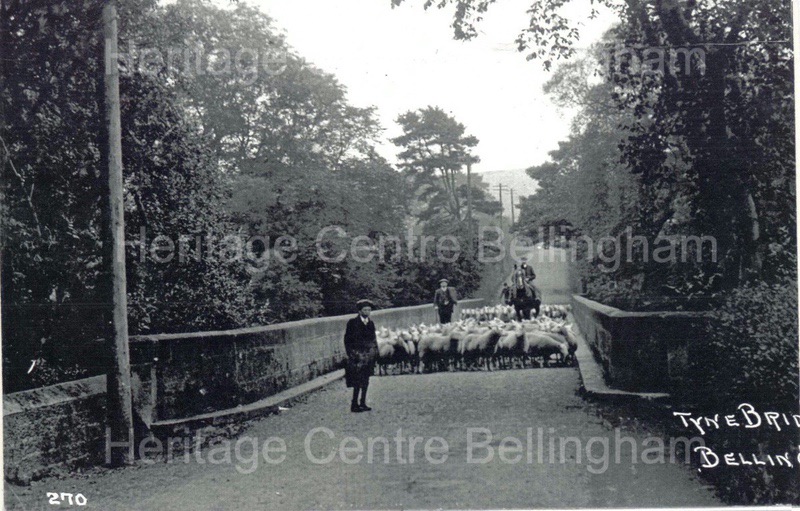 Image from the Heritage Centre Bellingham Collection Image from the Heritage Centre Bellingham Collection