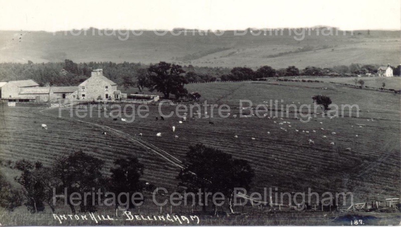 Image from the Heritage Centre Bellingham Collection