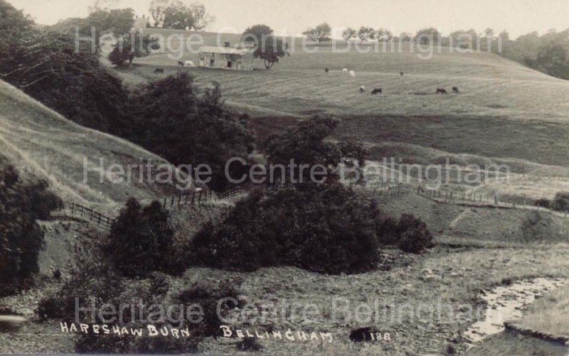 Image from the Heritage Centre Bellingham Collection