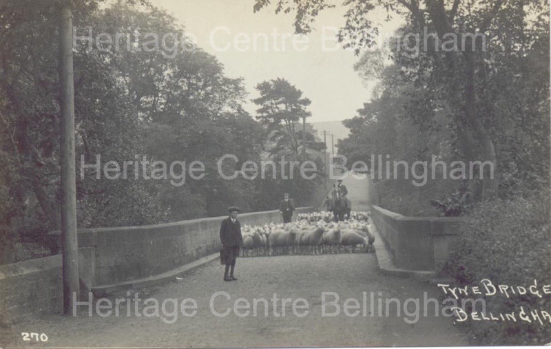 Image from the Heritage Centre Bellingham Collection Image from the Heritage Centre Bellingham Collection