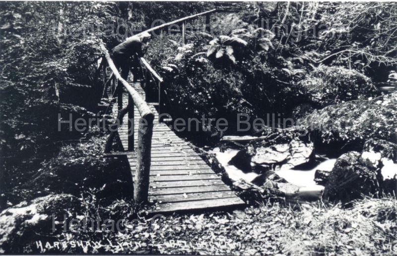 Image from the Heritage Centre Bellingham Collection Image from the Heritage Centre Bellingham Collection