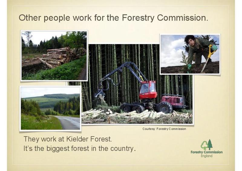 Intro2BellinghamSlideShow2-page-025.jpg