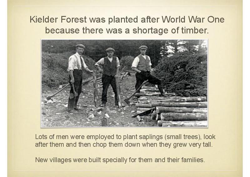 Intro2BellinghamSlideShow2-page-026.jpg