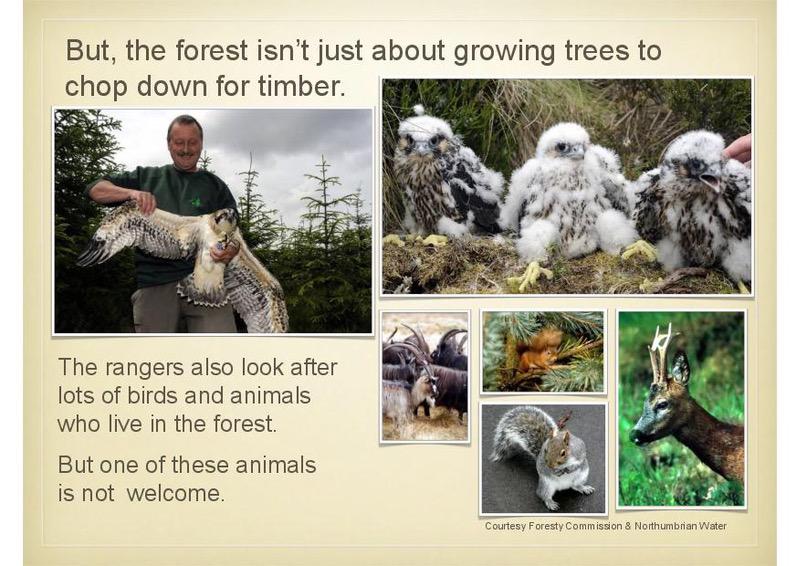 Intro2BellinghamSlideShow2-page-027.jpg
